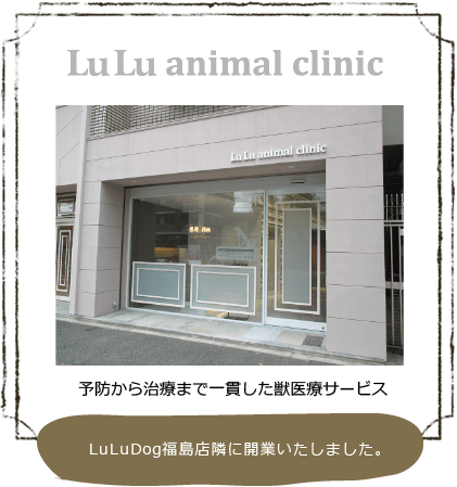 LuLu animal clinic