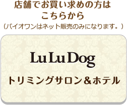 LuLu Dog
