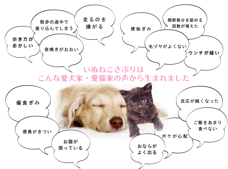 いぬさぷりはこんな愛犬家の声から生まれました