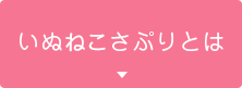 いぬさぷりとは