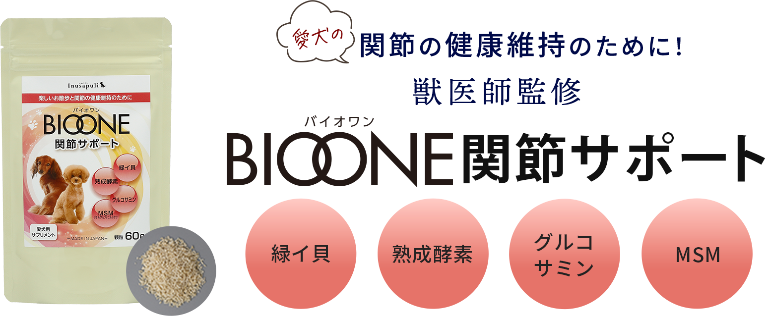 愛犬の関節の健康維持のために！獣医師監修 BIOONE関節サポート