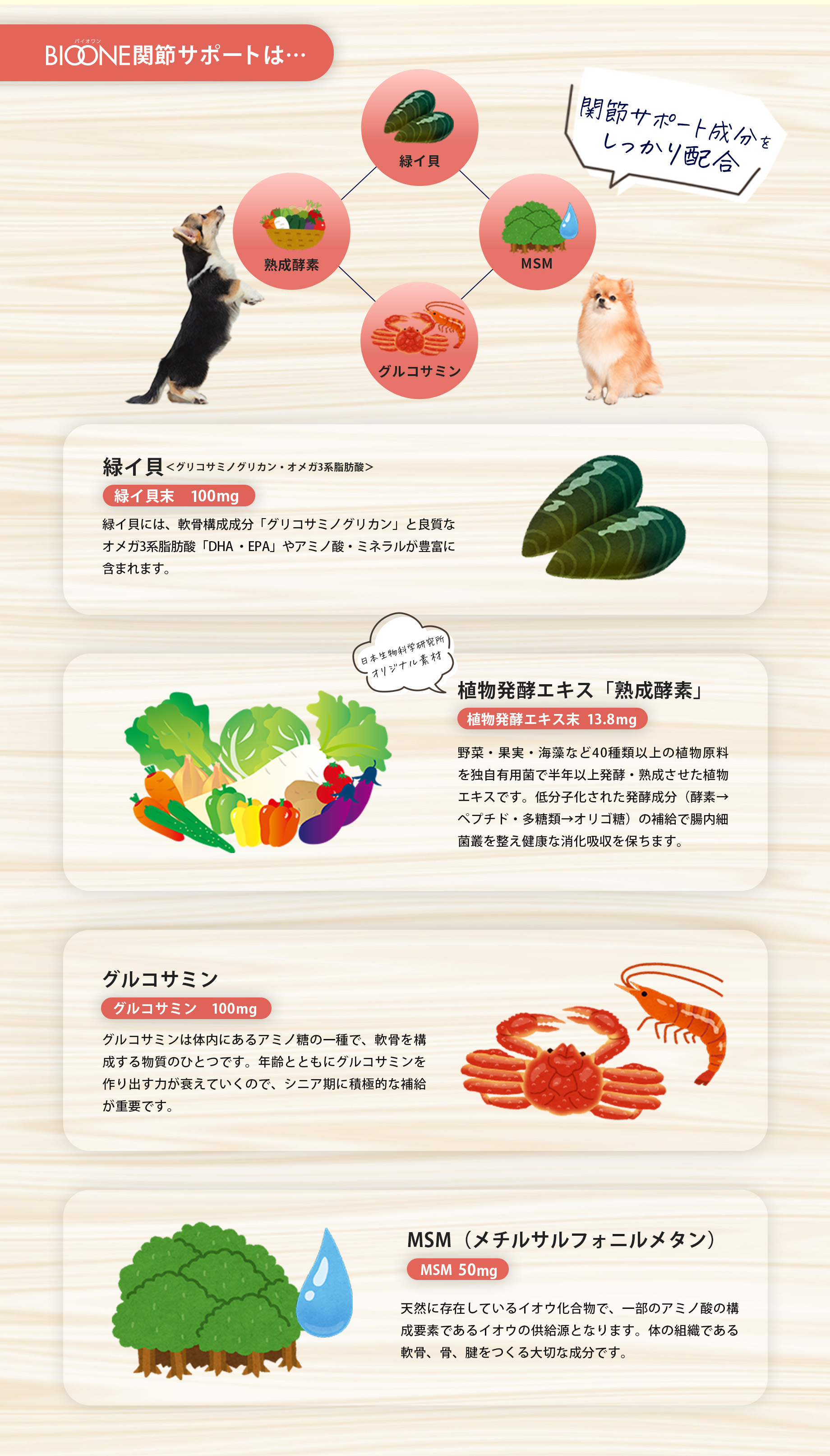 BIOONE関節サポートは「乳酸菌KT-11」「熟成酵素」「亜麻仁」「コラーゲン」「大豆ポリミアン」関節サポート成分をしっかり配合