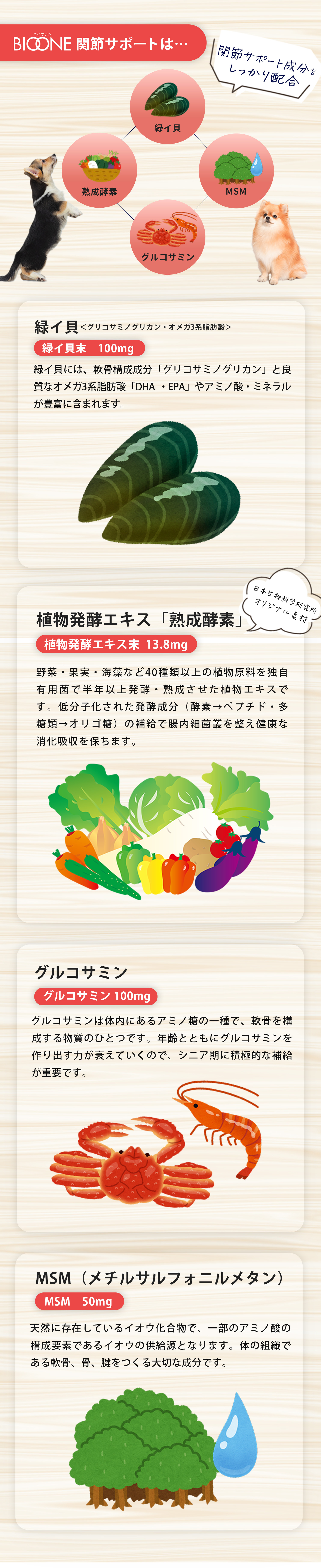 BIOONE関節サポートは「乳酸菌KT-11」「熟成酵素」「亜麻仁」「コラーゲン」「大豆ポリミアン」関節サポート成分をしっかり配合