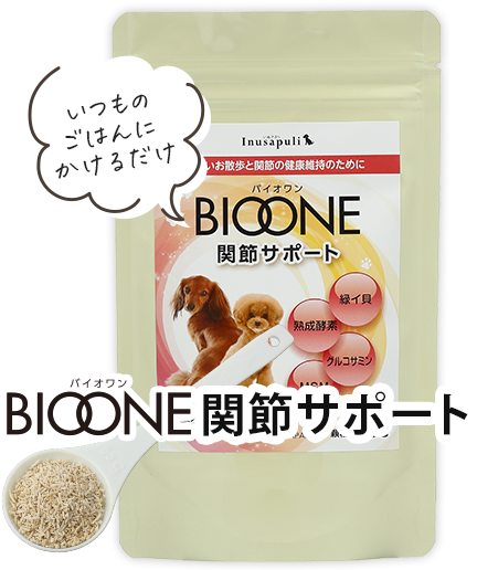 BIOONE関節サポート