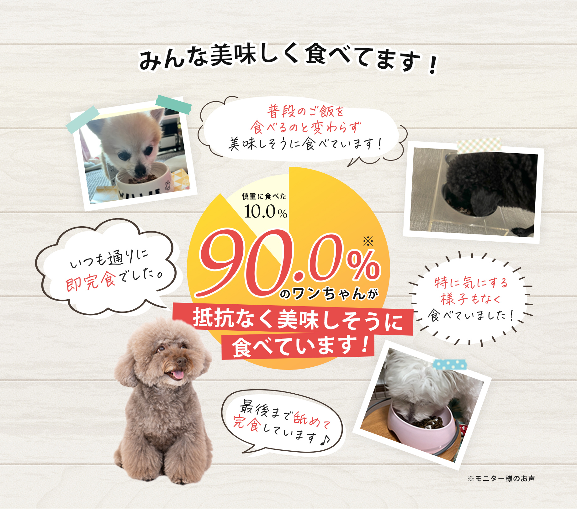 みんな美味しく食べてます！87.9%のワンちゃんが抵抗なく美味しそうに食べています！