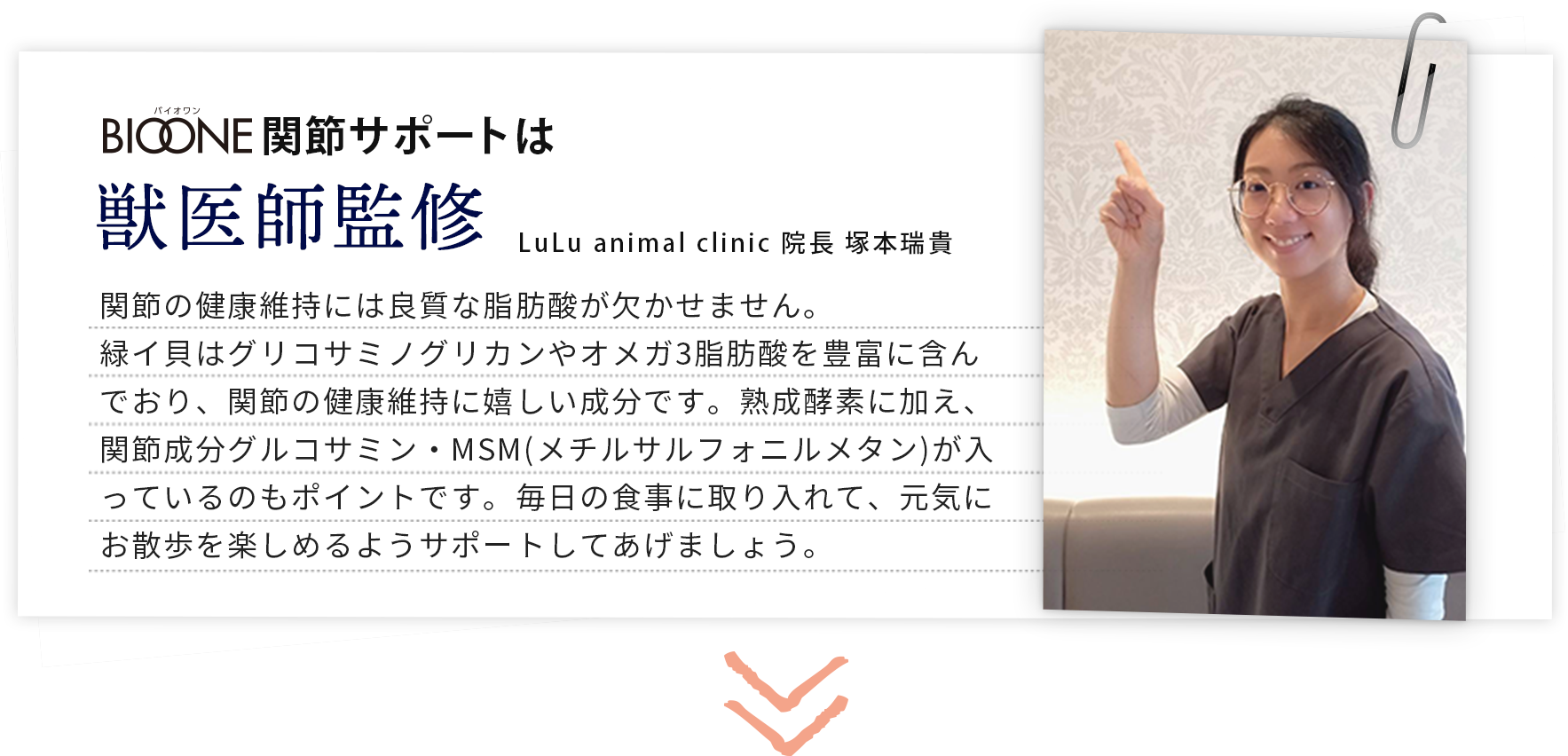 BIOONE関節サポートは獣医師監修