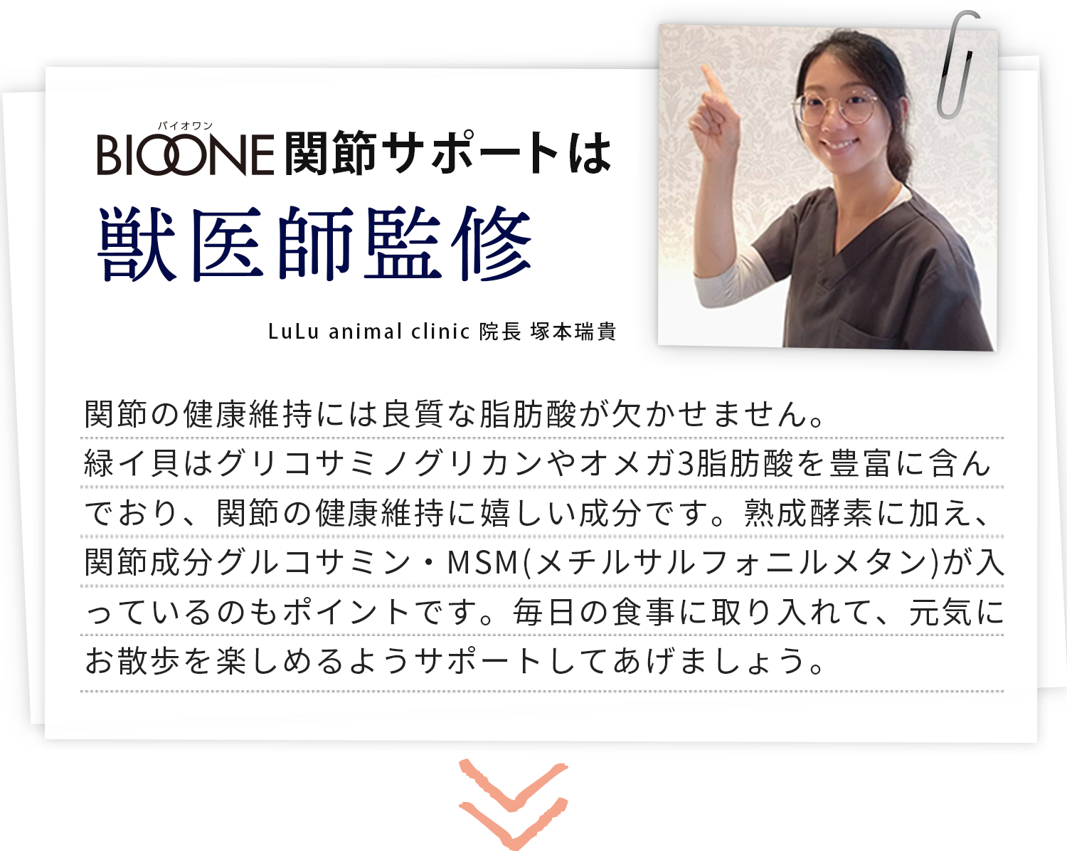 BIOONE関節サポートは獣医師監修