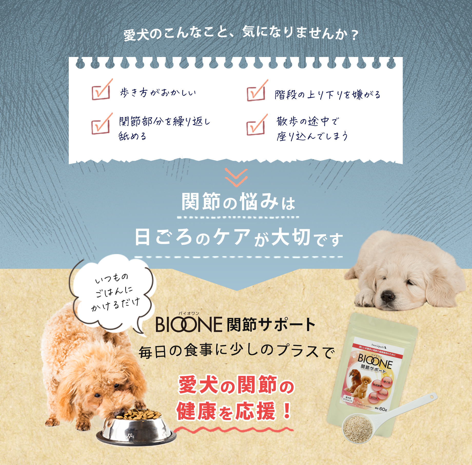 愛犬のこんなこと、気になりませんか？皮膚やお腹の悩みは腸内細菌のケアが大切です