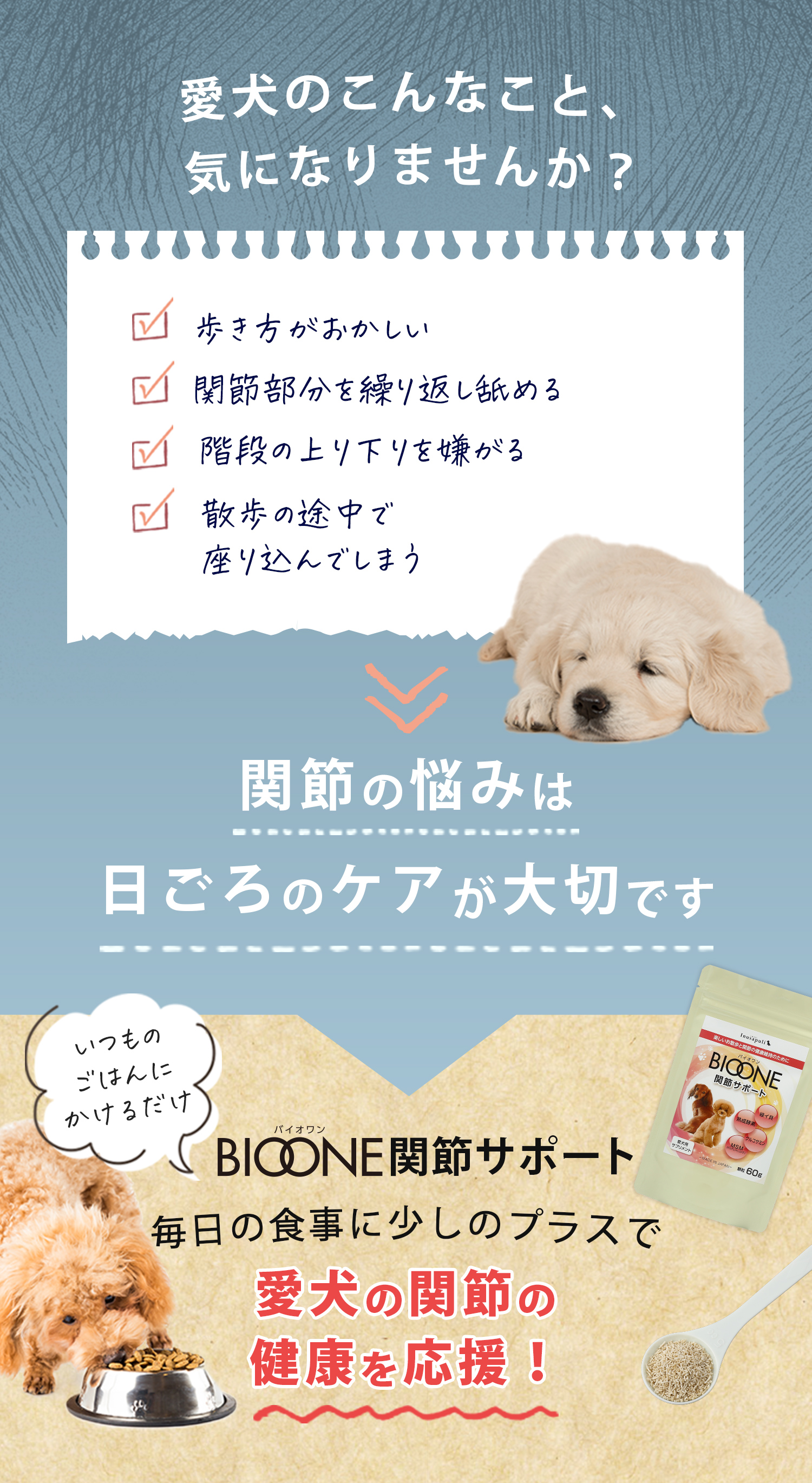 愛犬のこんなこと、気になりませんか？皮膚やお腹の悩みは腸内細菌のケアが大切です