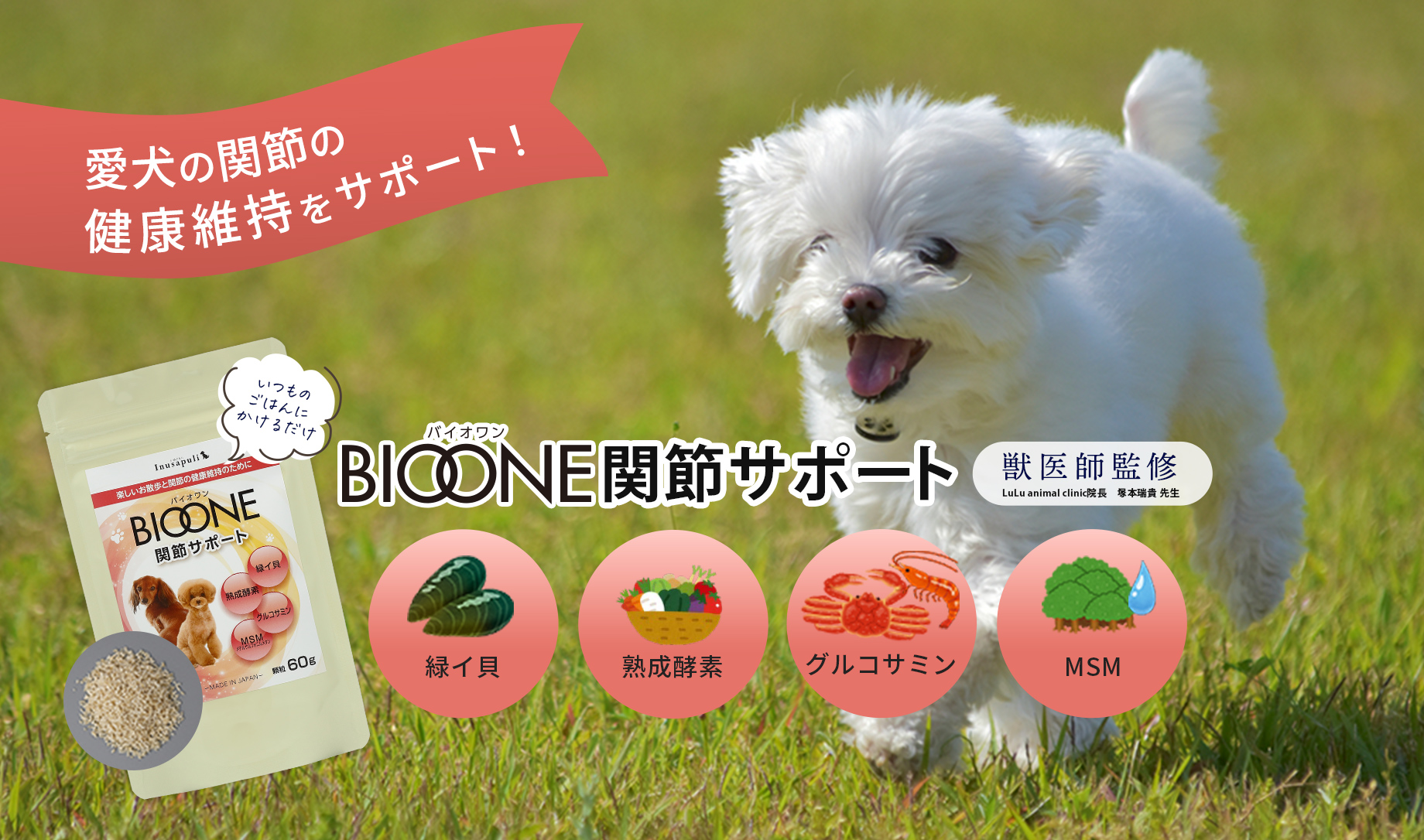 愛犬の関節の健康維持をサポート！BIOONE関節サポート