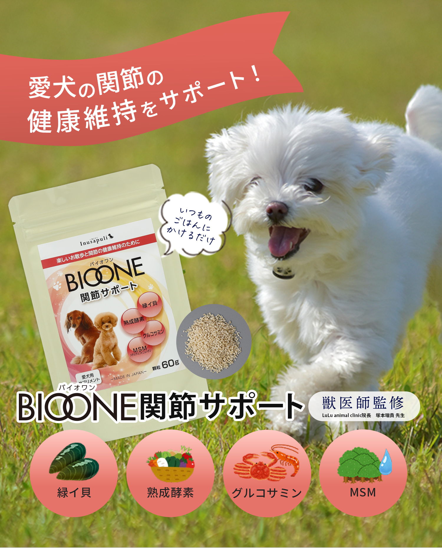 愛犬の関節の健康維持をサポート！BIOONE関節サポート