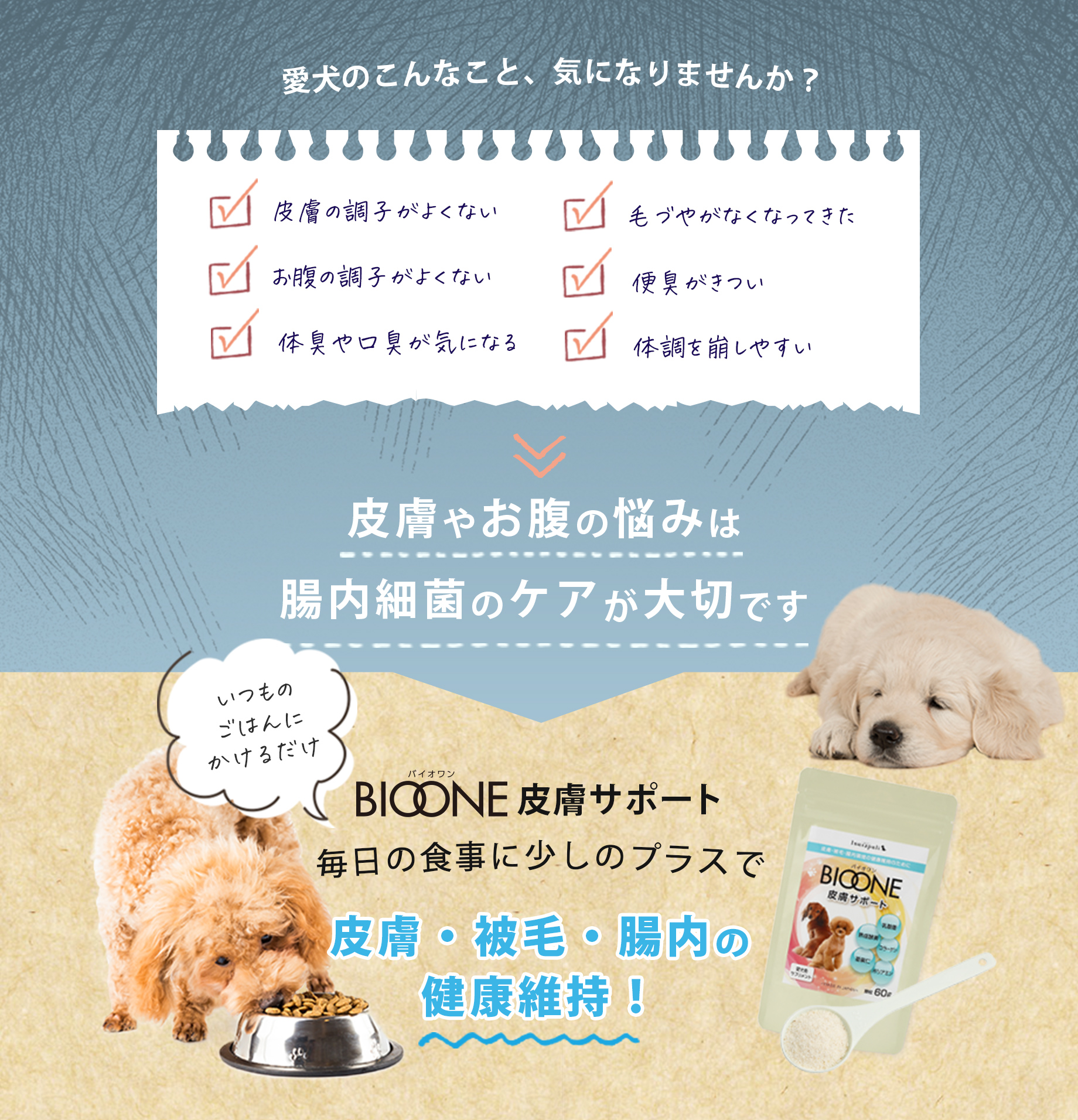 愛犬のこんなこと、気になりませんか？皮膚やお腹の悩みは腸内細菌のケアが大切です