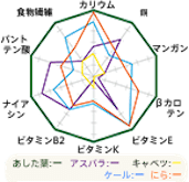 各種野菜と栄養成分の比較