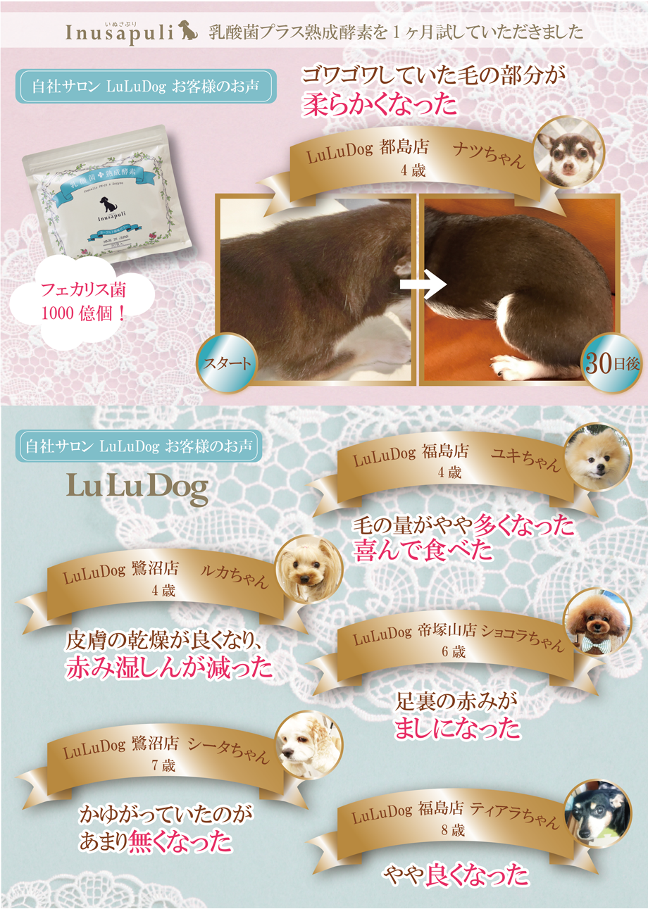 ルルドッグ お声