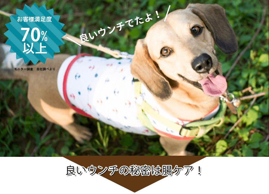 お客様満足度70%以上