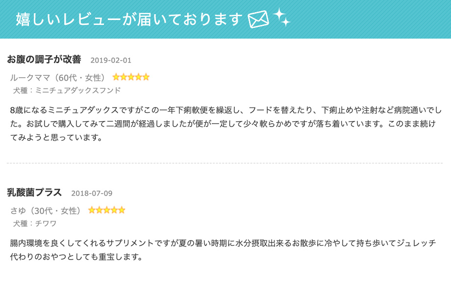 レビュー