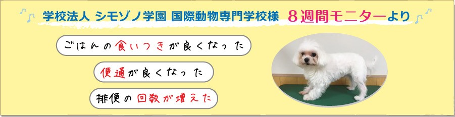 学校法人 シモゾノ学園 国際動物専門学校様 8週間モニターより
