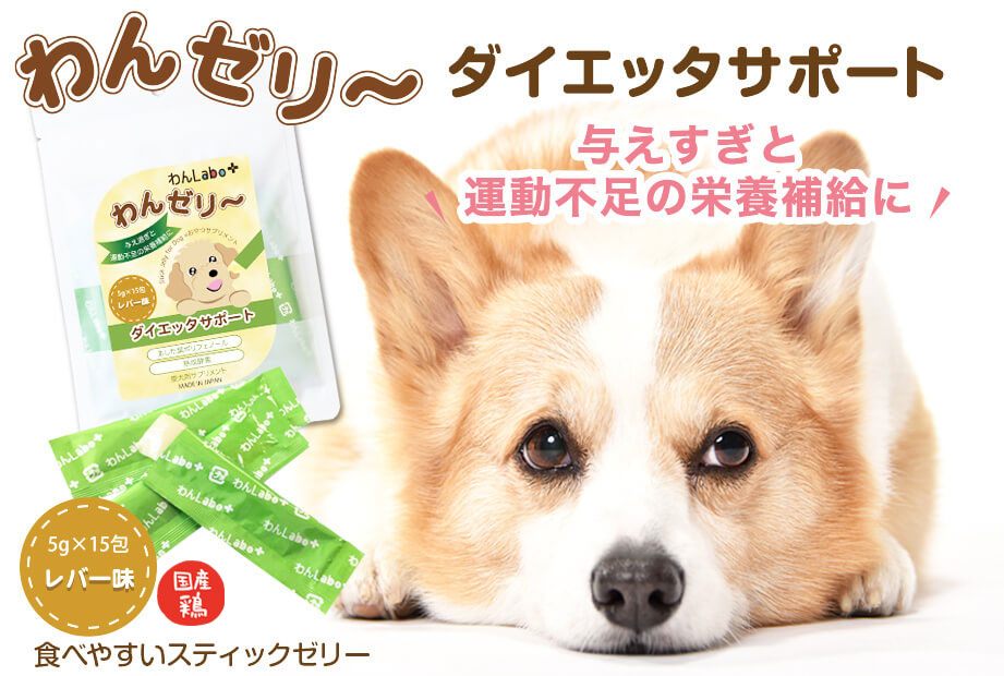 わんゼリーダイエッターサポート