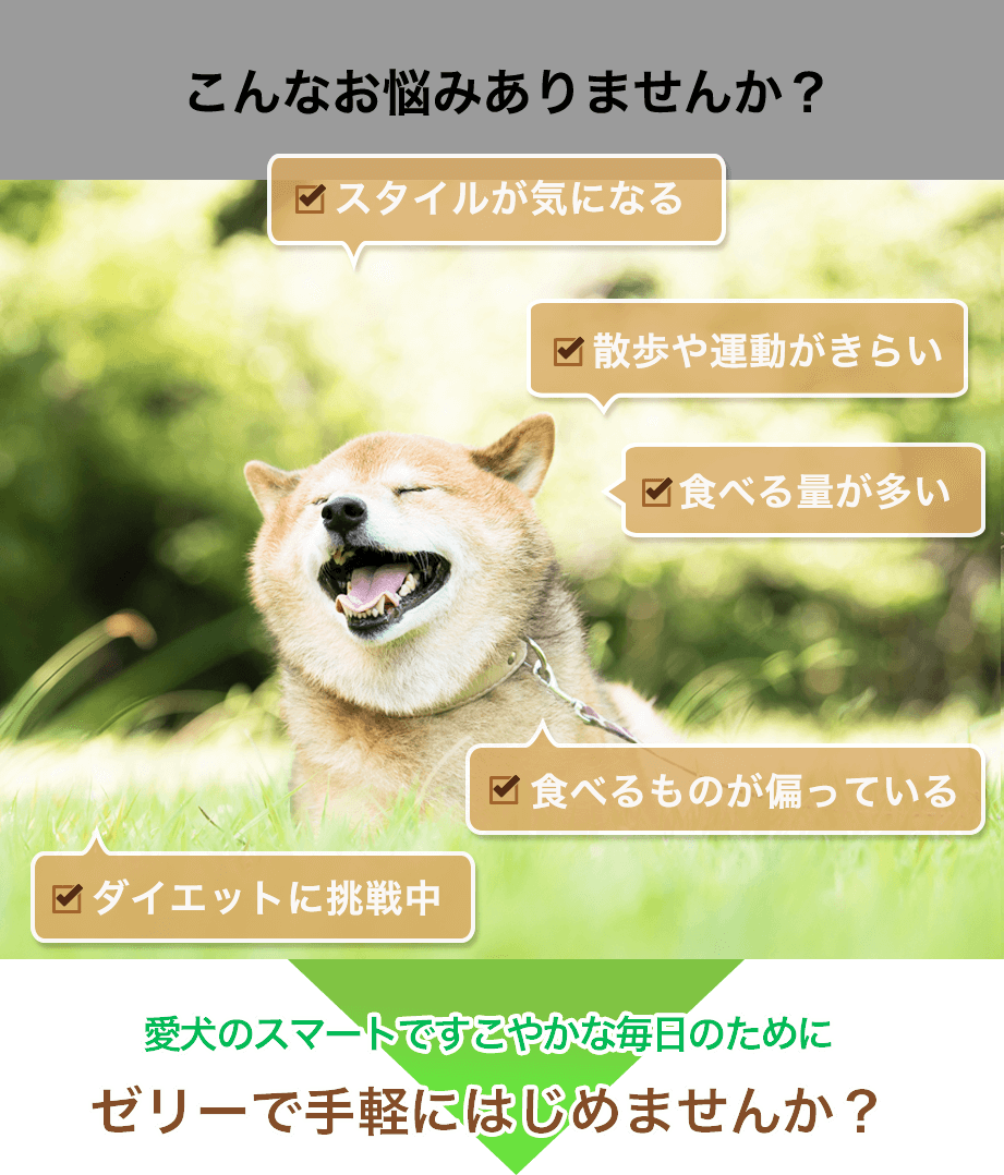 こんなお悩みに