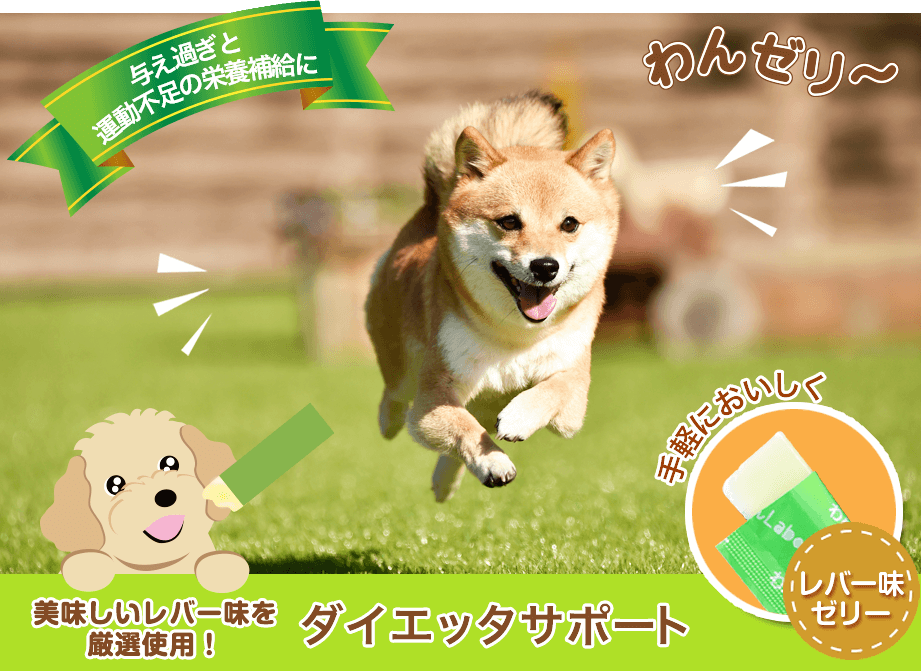 わんゼリーダイエッターサポート