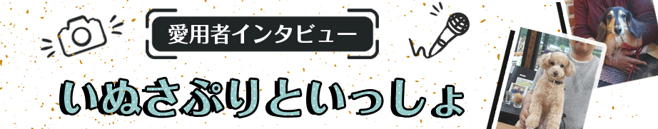 いぬさぷらいといっしょ