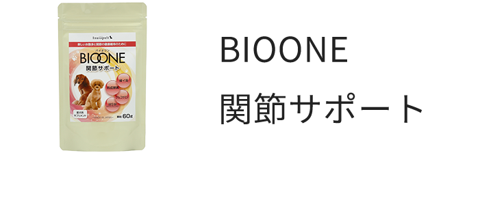 BIOONE関節サポート