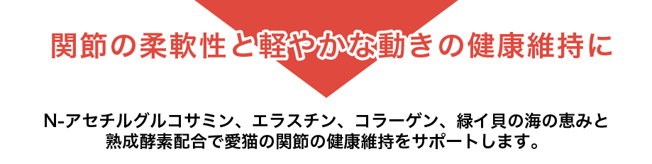 関節のかろやかな動きのために