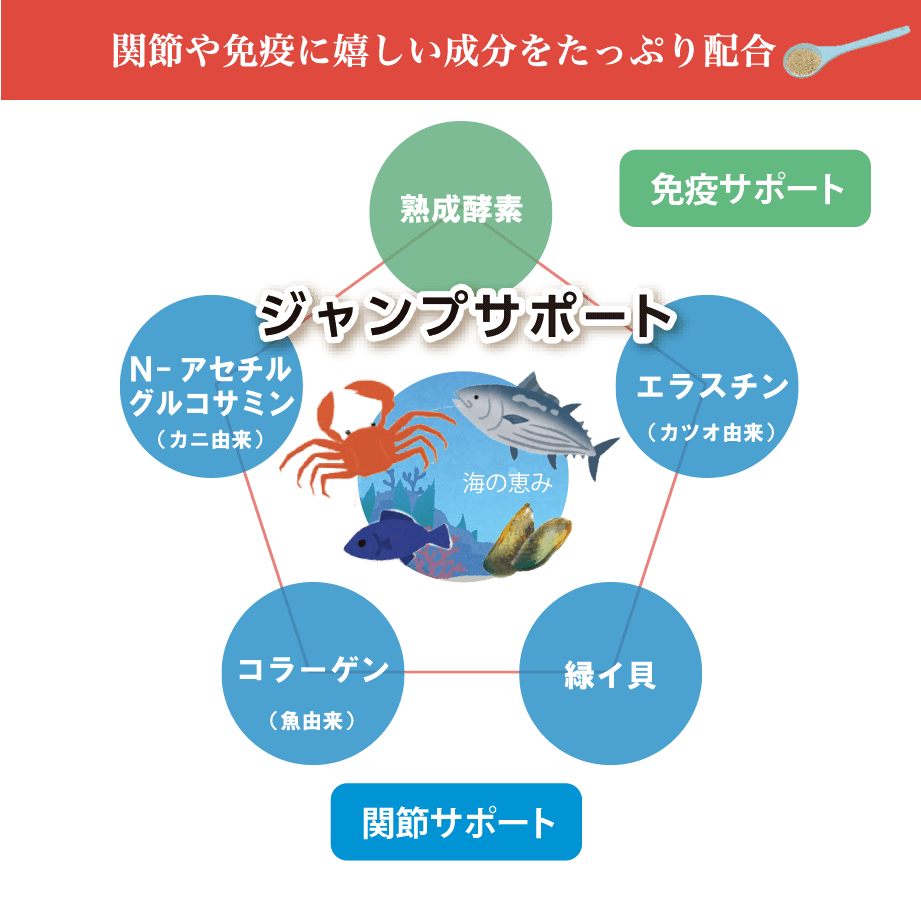 関節や免疫にうれしい成分をたっぷり配合