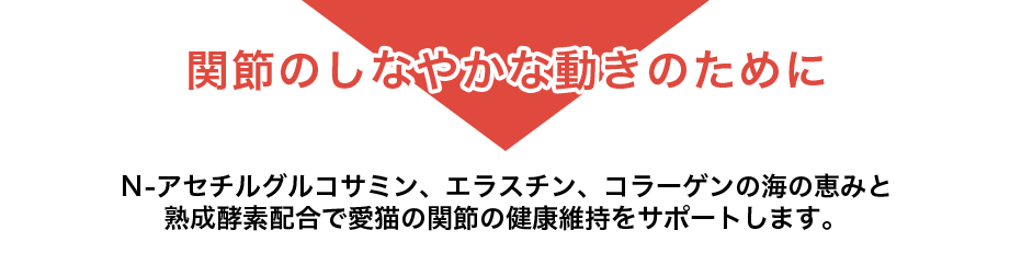 関節のしなやかな動きのために