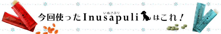 今回使ったいぬさぷりはこれ！