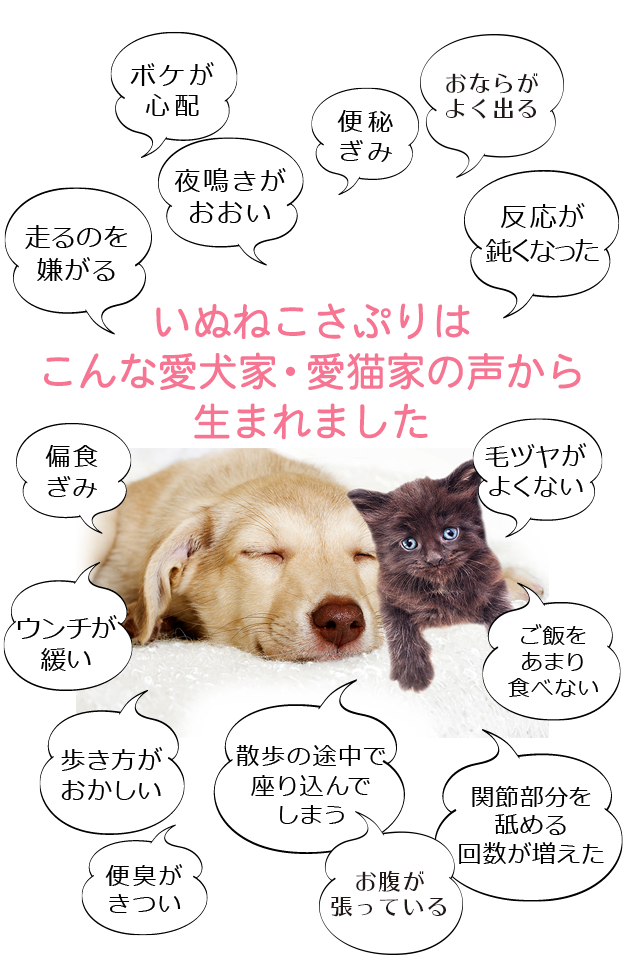 いぬさぷりはこんな愛犬家の声から生まれました