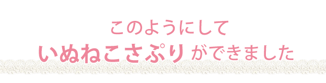 このようにしていぬさぷりができました