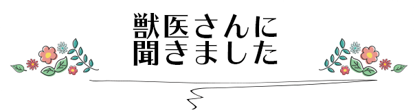 獣医さんに聞きました