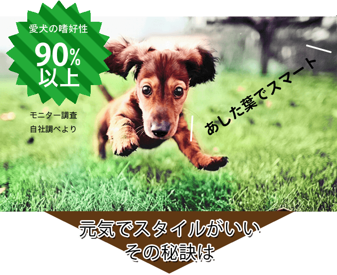 お客様満足度90%以上