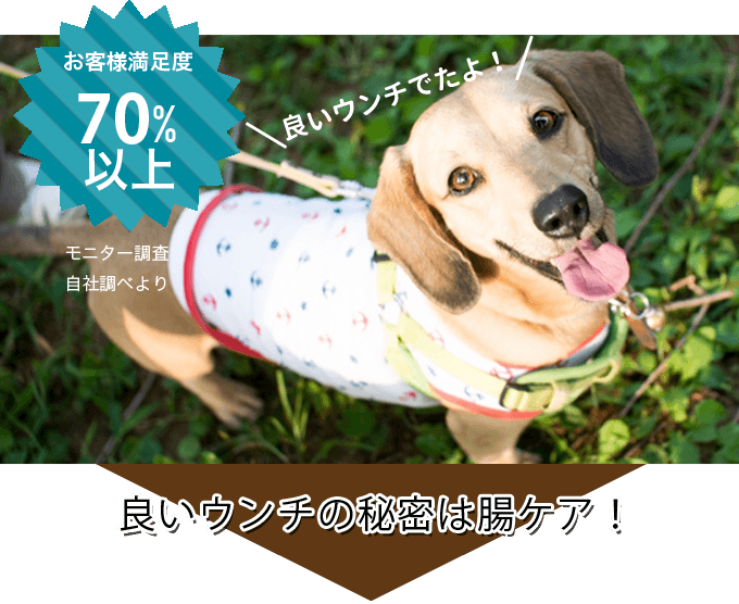 お客様満足度70%以上